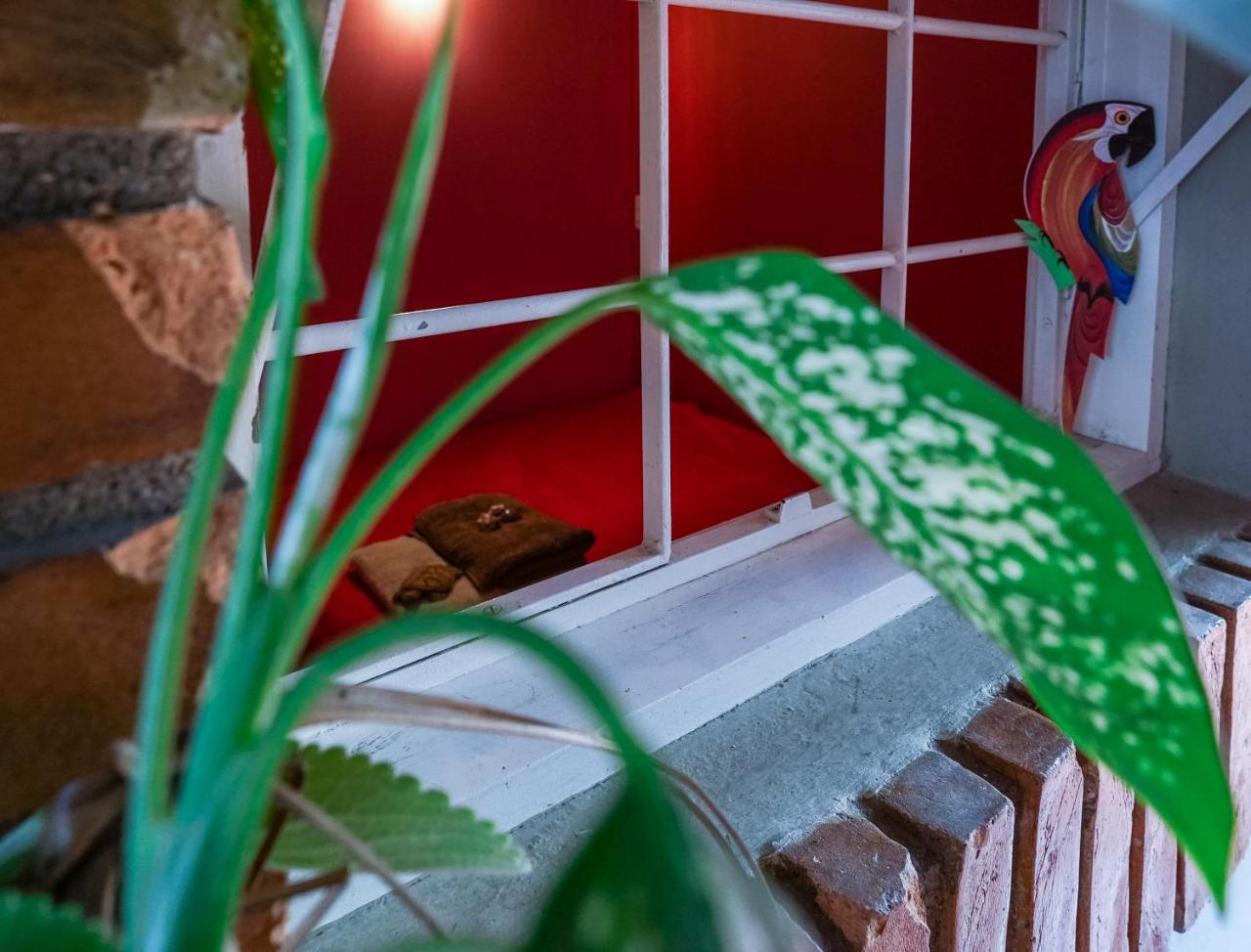 Hostel Tropico De Capricornio - Itagua Убатуба Екстериор снимка