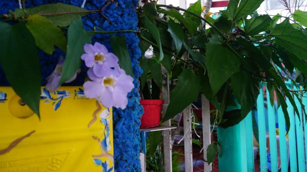 Hostel Tropico De Capricornio - Itagua Убатуба Екстериор снимка